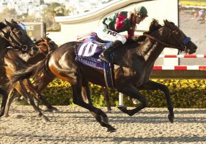 iam_Laserman's tweet photo. Footage is of his win in the Del Mar Futurity beating California Chrome. I’ve faced Chrome 3 times and beat him twice! Enjoy! #TheyGotThatWork #LaserMan #IncaseYouForgot #GradeOnesEverywhere #ChromeGotThatWork https://t.co/DPMoG25o9X