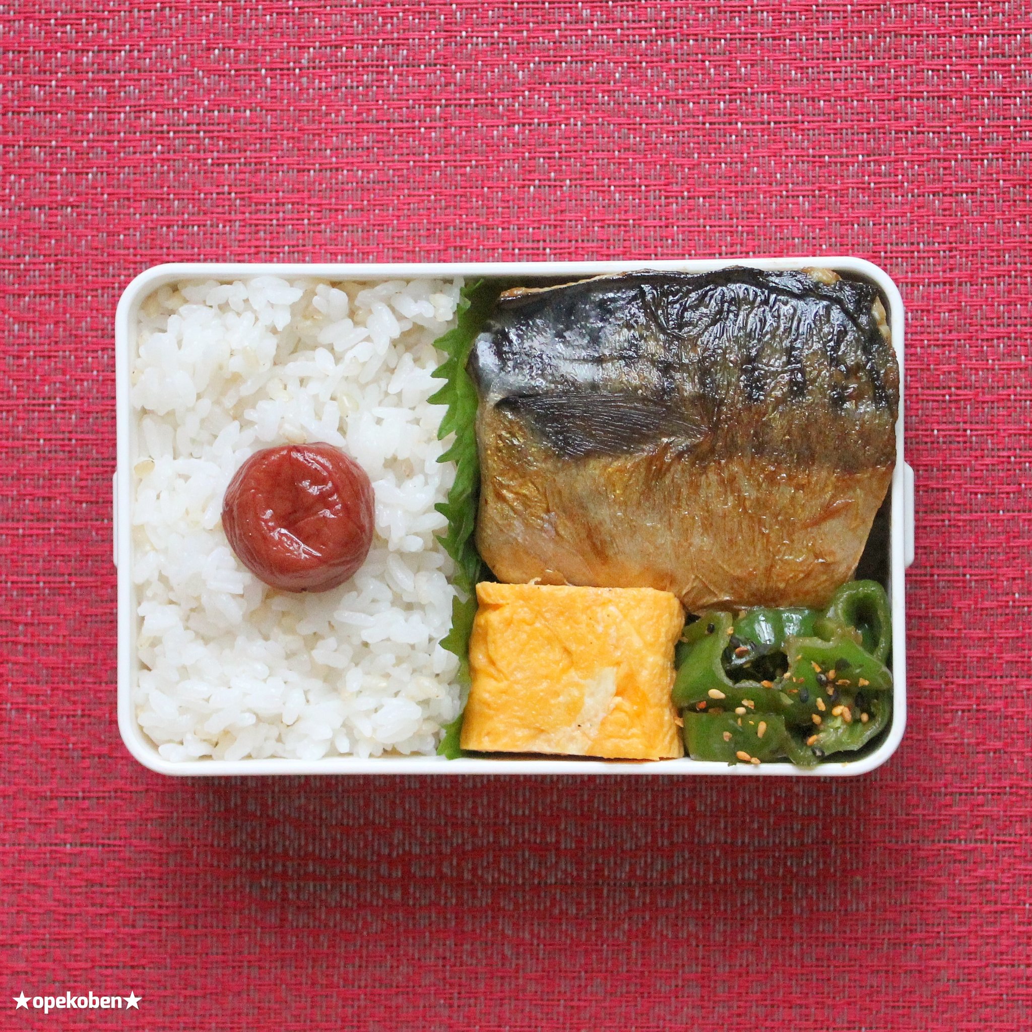 おぺこ フライパンで焼き塩鯖弁当 T Co 6j2aivtage おぺこべん おべんとう お弁当作り楽しもう部 シンプル弁当 鯖弁当 T Co Bemdjtzwiy Twitter