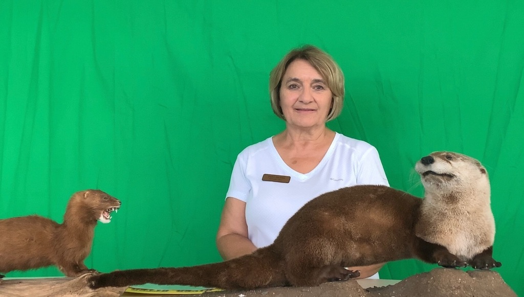 WashingtonSTEM tweet media