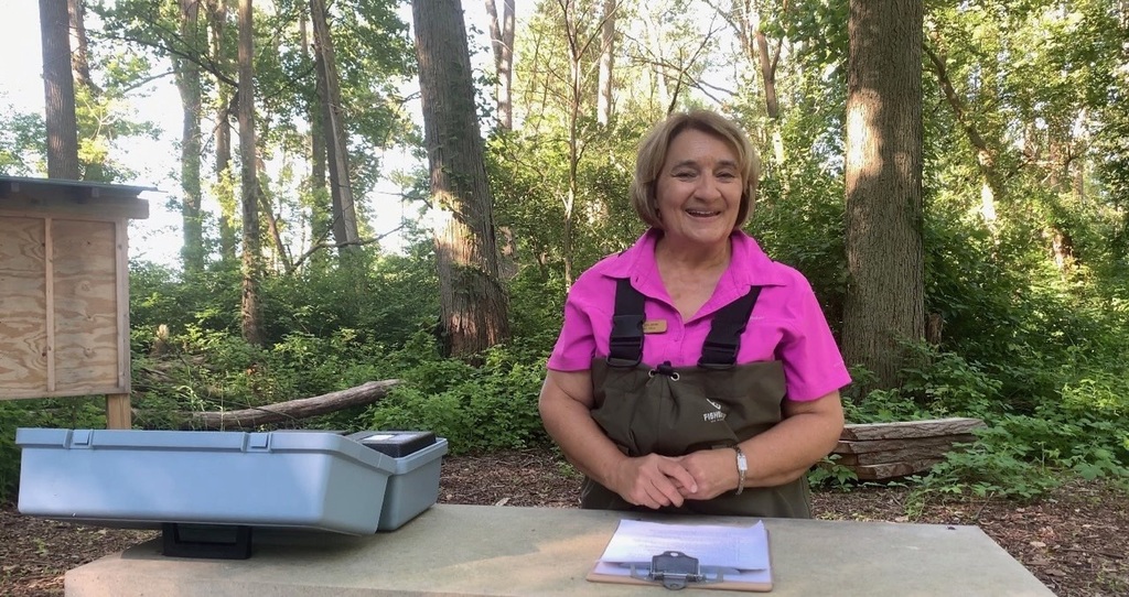 WashingtonSTEM tweet media