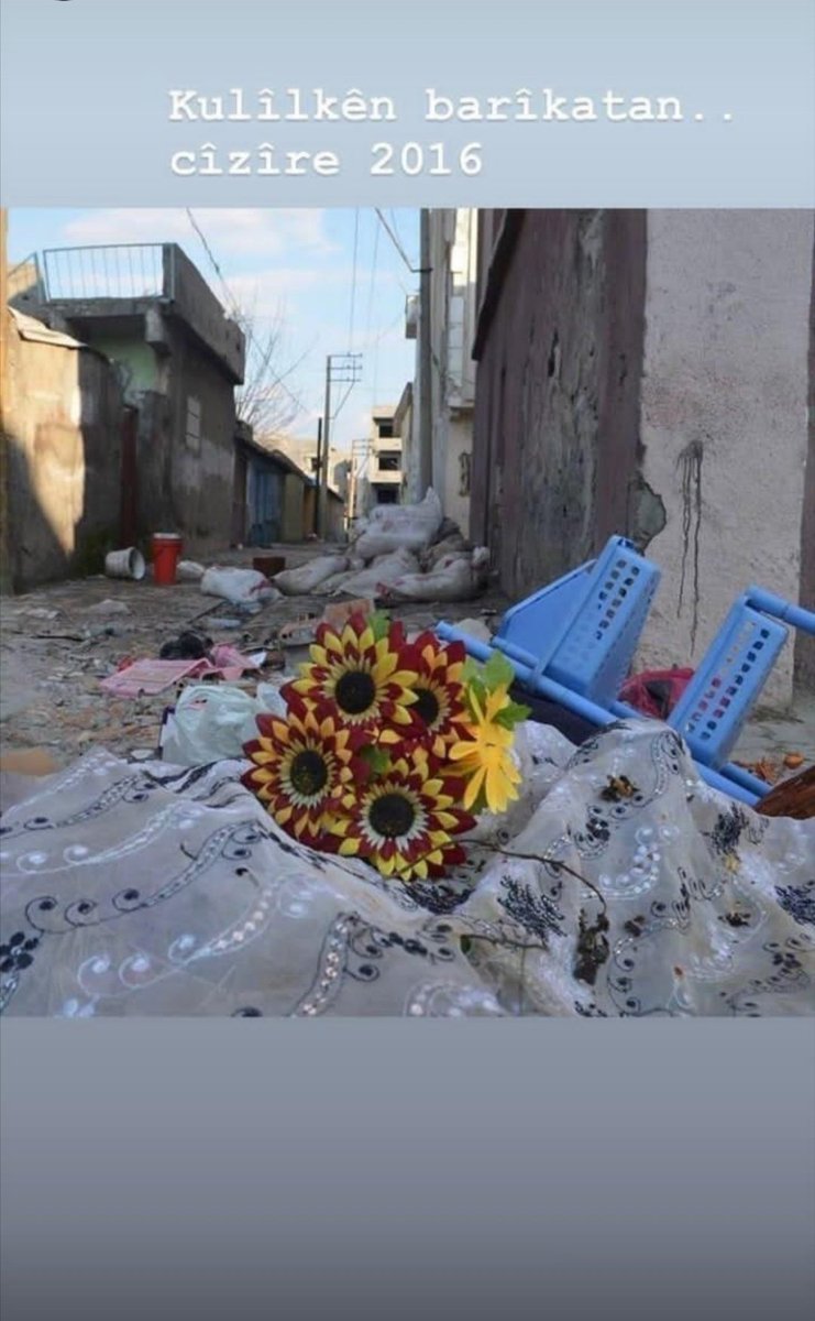 sanoger21 (@sanoger21) on Twitter photo 