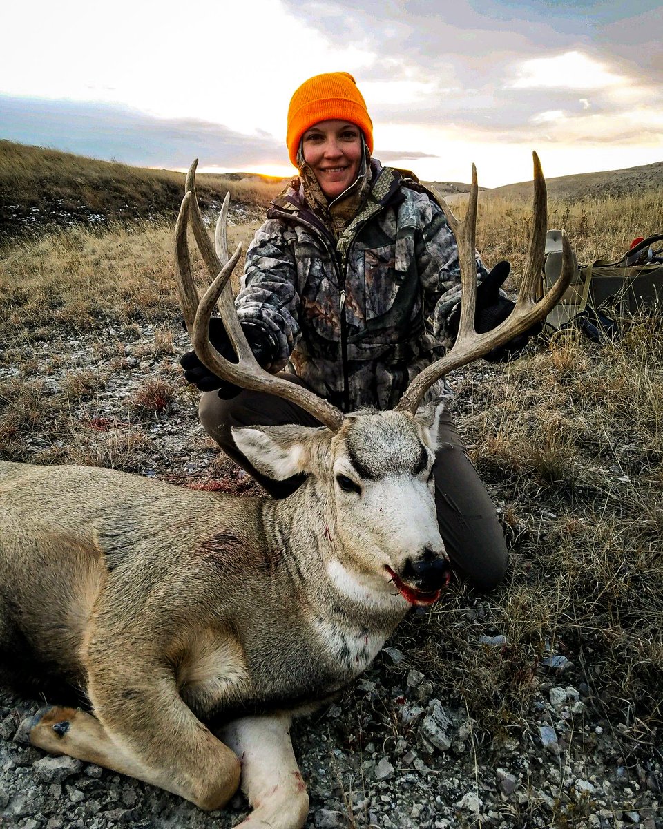 guidefitter's tweet image. &quot;First mule deer hunt. Watched this bedded buck for an hour and a half, then made a fast and furious move to cut him off. Had a blast exploring public land in western SD.&quot;

—Hilary Morey, Guidefitter Verified Outdoor Govt. Insider #guidefitter #weliveforthis