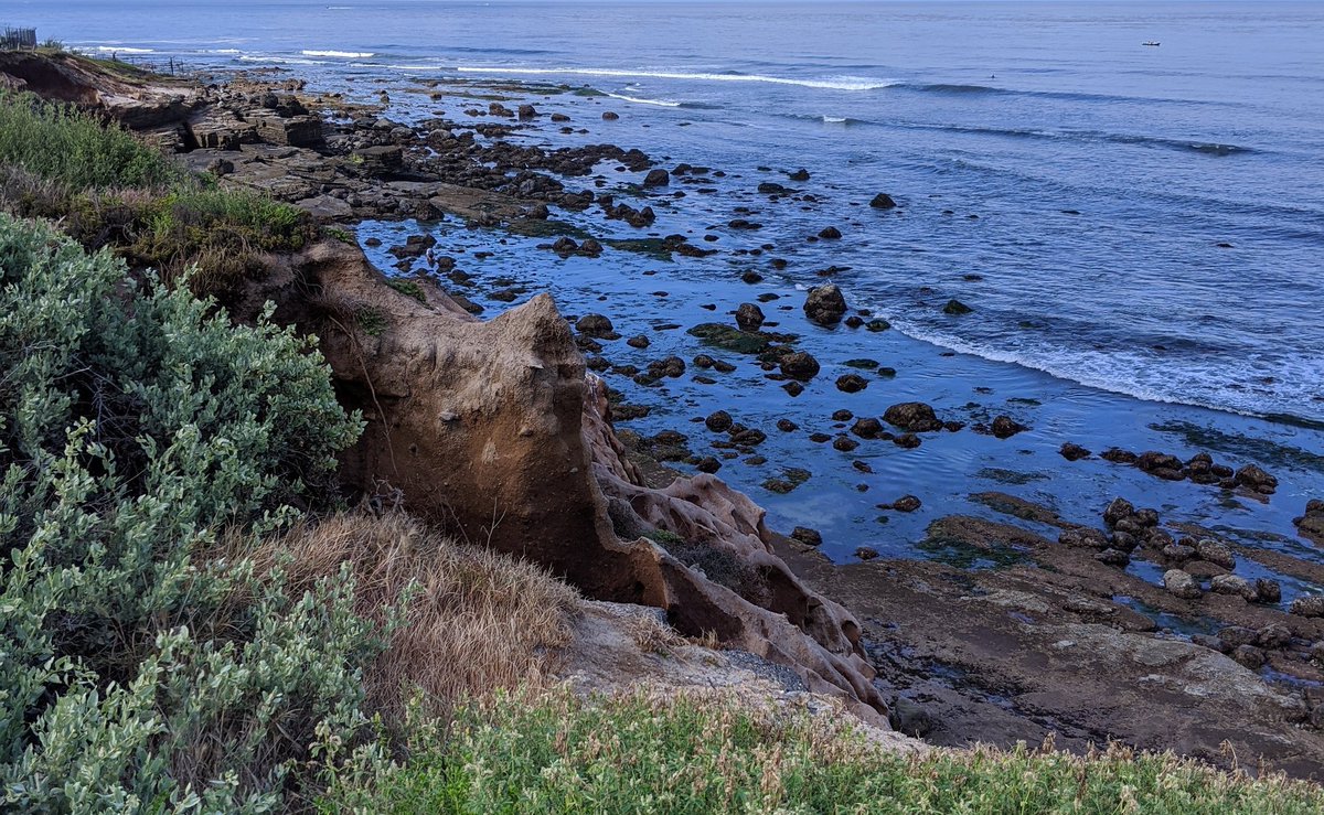 Marine biologists: I will be hiring soon! If you want to work on the rocky intertidal at a scenic national park unit right in San Diego, a position will be posted on USAjobs on July 27 (I will link it here as well). Please share &amp; RT 🌅