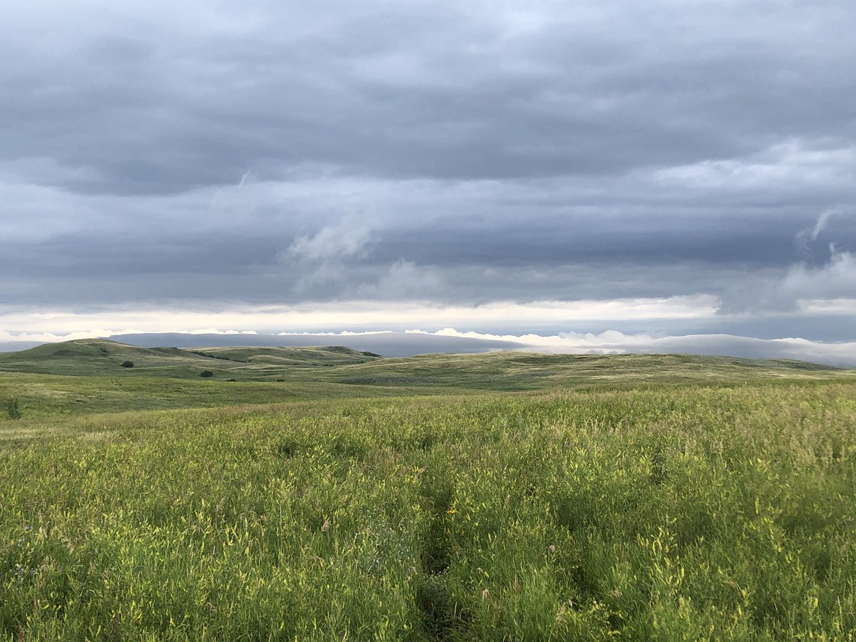 RealDuckTails's tweet photo. One of our favorite parts of working on the prairie is being able to watch the weather! Yesterday Mason set up thermal pads on our nests while this storm blew past. Luckily today we had beautiful weather to fly and were able to capture great imagery! #dronescience https://t.co/FqowpzDULt