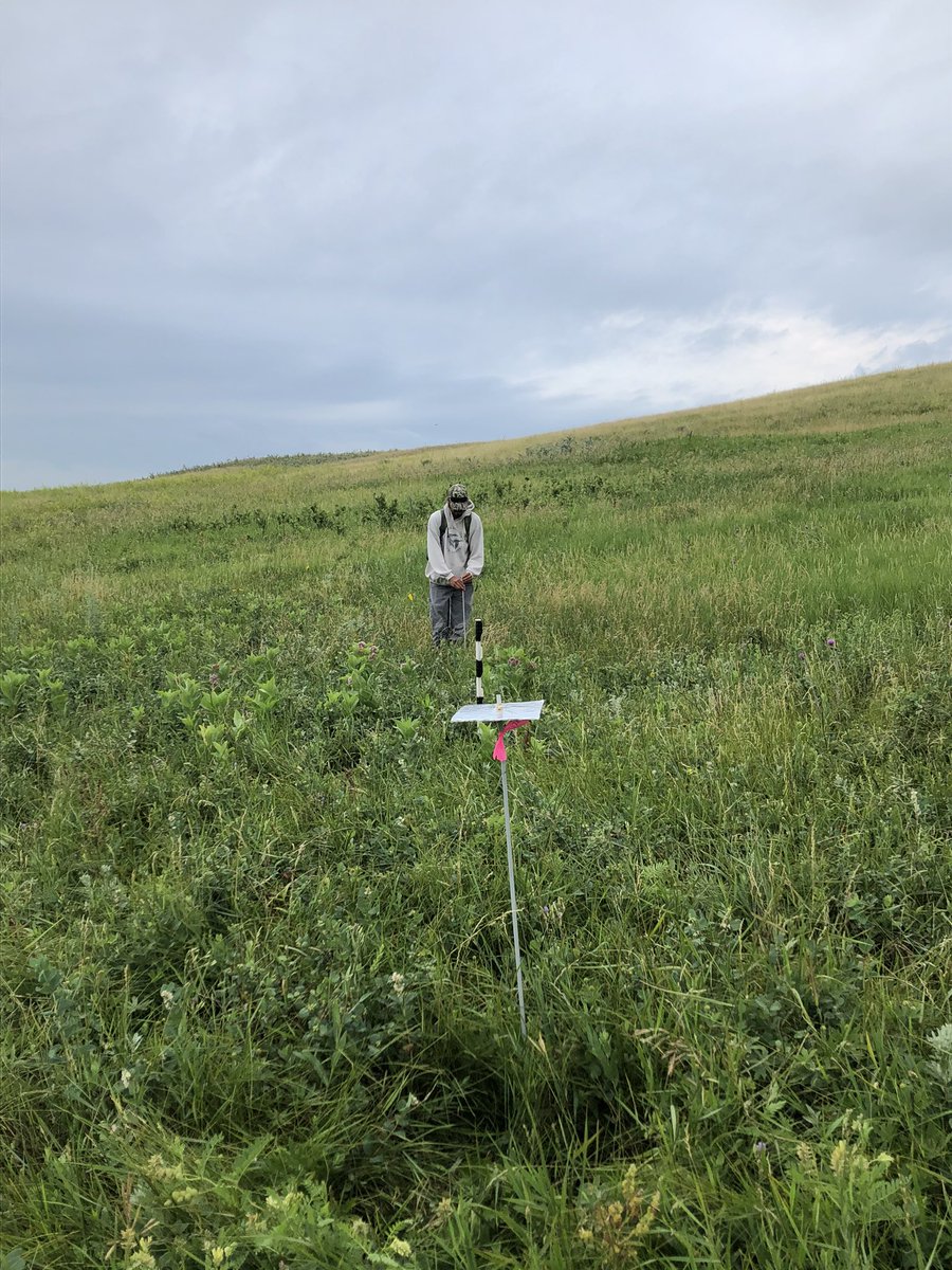 RealDuckTails's tweet photo. One of our favorite parts of working on the prairie is being able to watch the weather! Yesterday Mason set up thermal pads on our nests while this storm blew past. Luckily today we had beautiful weather to fly and were able to capture great imagery! #dronescience https://t.co/FqowpzDULt