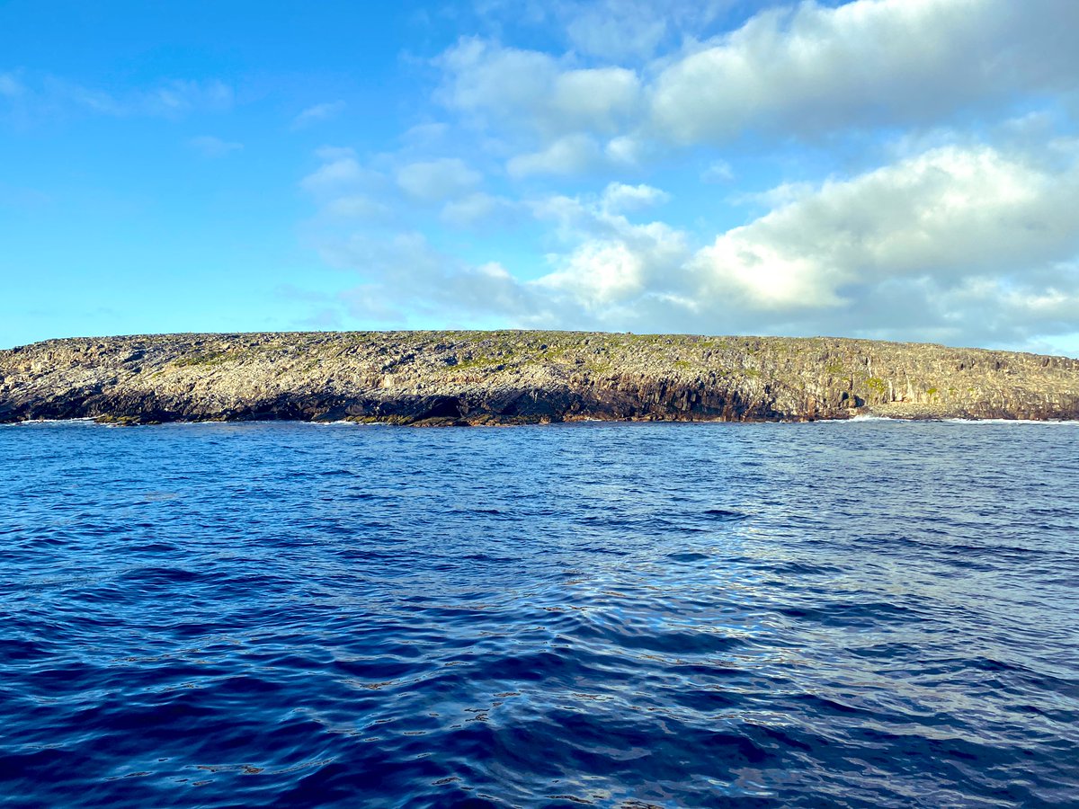 Haven’t been to this spot before: Pages Conservation Park. If you zoom in and squint, you can sea the Endangered Australian Sea Lion relaxing at the top of the island. Acoustic receiver recovery time @IMOS_AUS @IMOSAnimalTrack @vemcoteam