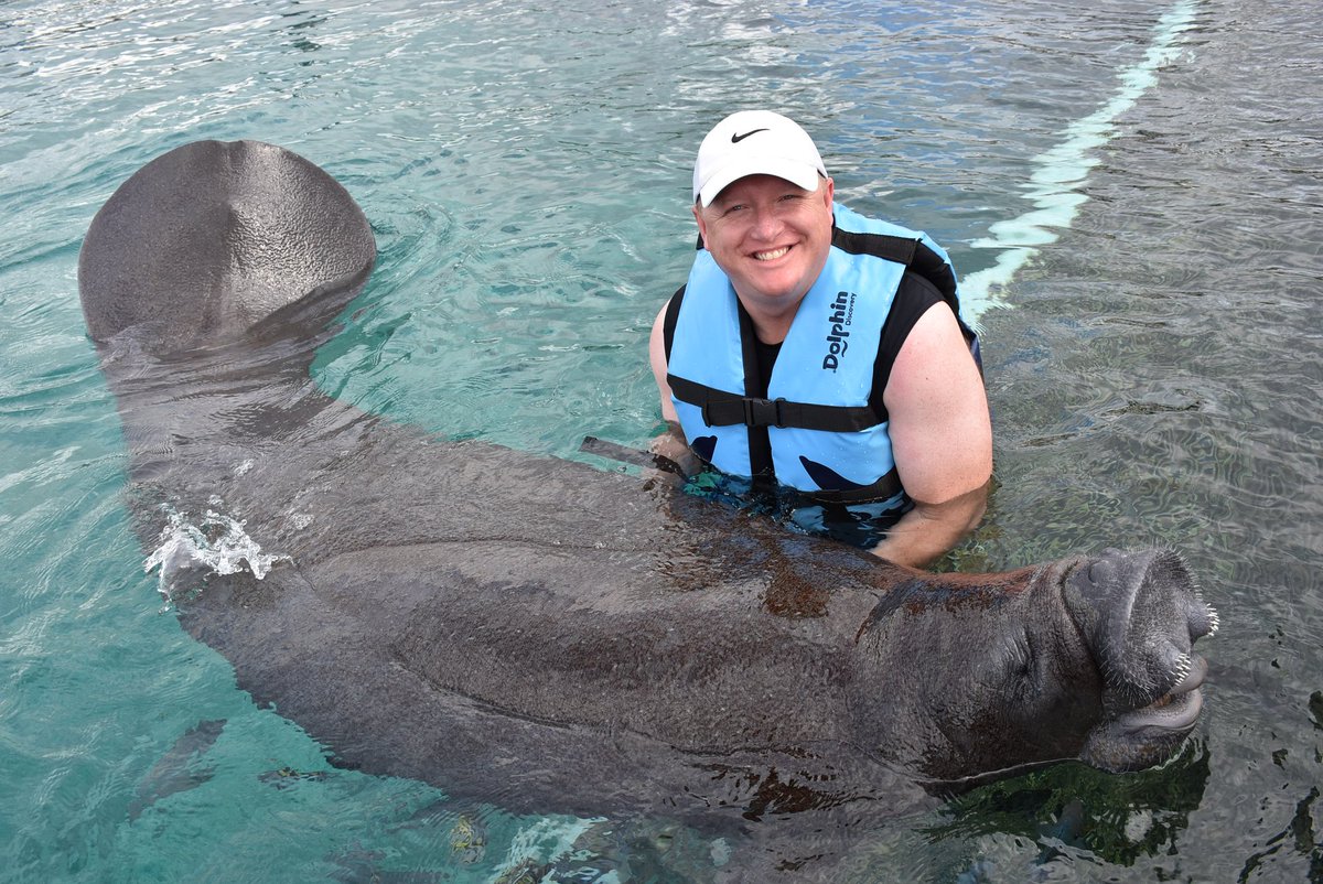 dolphindiscENG's tweet photo. Did you know? Manatees are very large animals over 3 meters long and 500 kg in weight. 🤓😮
#Manatees #ShareHappiness #ToKnowIsToLove #TheExperienceOfALifetime #TheDolphinCompany https://t.co/8SkXmvwZxF