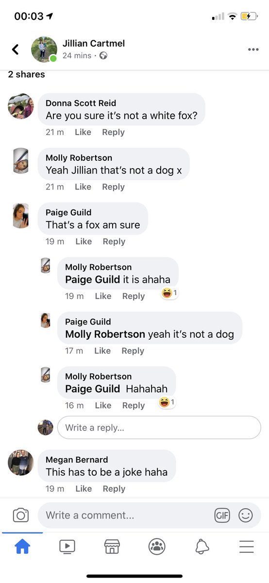 Paddy tweet media