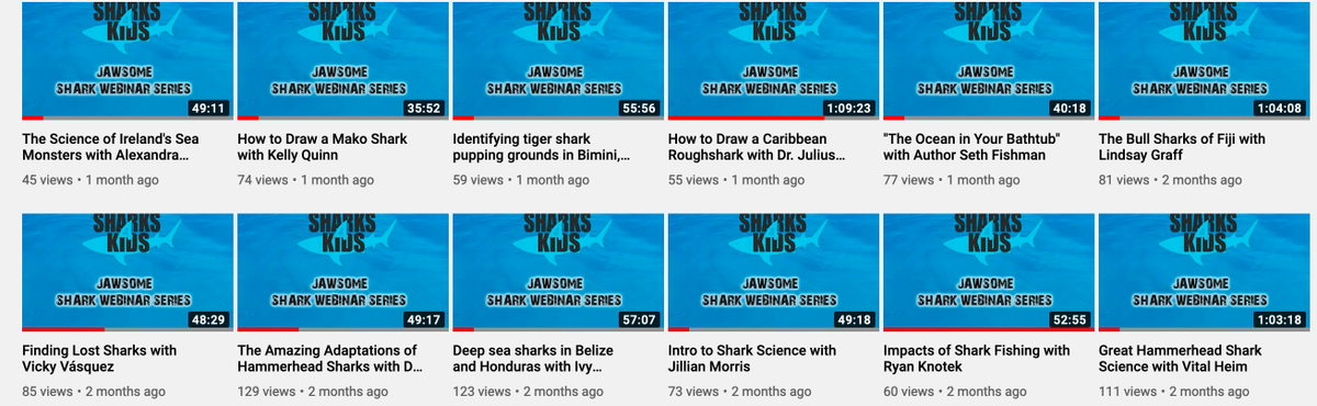 Sharks4Kids's tweet photo. Educators & Parents: Did you know we hosted over 50 #shark related webinars? ( coral reefs, sea turtles & dolphins too)
All are FREE to watch and learn! Dive in with us!
https://t.co/pqXdeiIfKl
#SharkScience #onlinelearning #schoolsoutscience https://t.co/pMMRvNwyM5