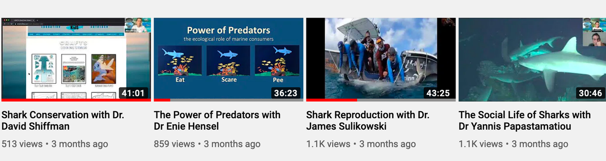 Sharks4Kids's tweet photo. Educators & Parents: Did you know we hosted over 50 #shark related webinars? ( coral reefs, sea turtles & dolphins too)
All are FREE to watch and learn! Dive in with us!
https://t.co/pqXdeiIfKl
#SharkScience #onlinelearning #schoolsoutscience https://t.co/pMMRvNwyM5