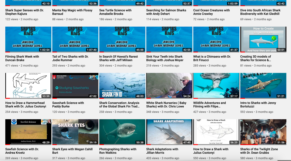 Sharks4Kids's tweet photo. Educators & Parents: Did you know we hosted over 50 #shark related webinars? ( coral reefs, sea turtles & dolphins too)
All are FREE to watch and learn! Dive in with us!
https://t.co/pqXdeiIfKl
#SharkScience #onlinelearning #schoolsoutscience https://t.co/pMMRvNwyM5