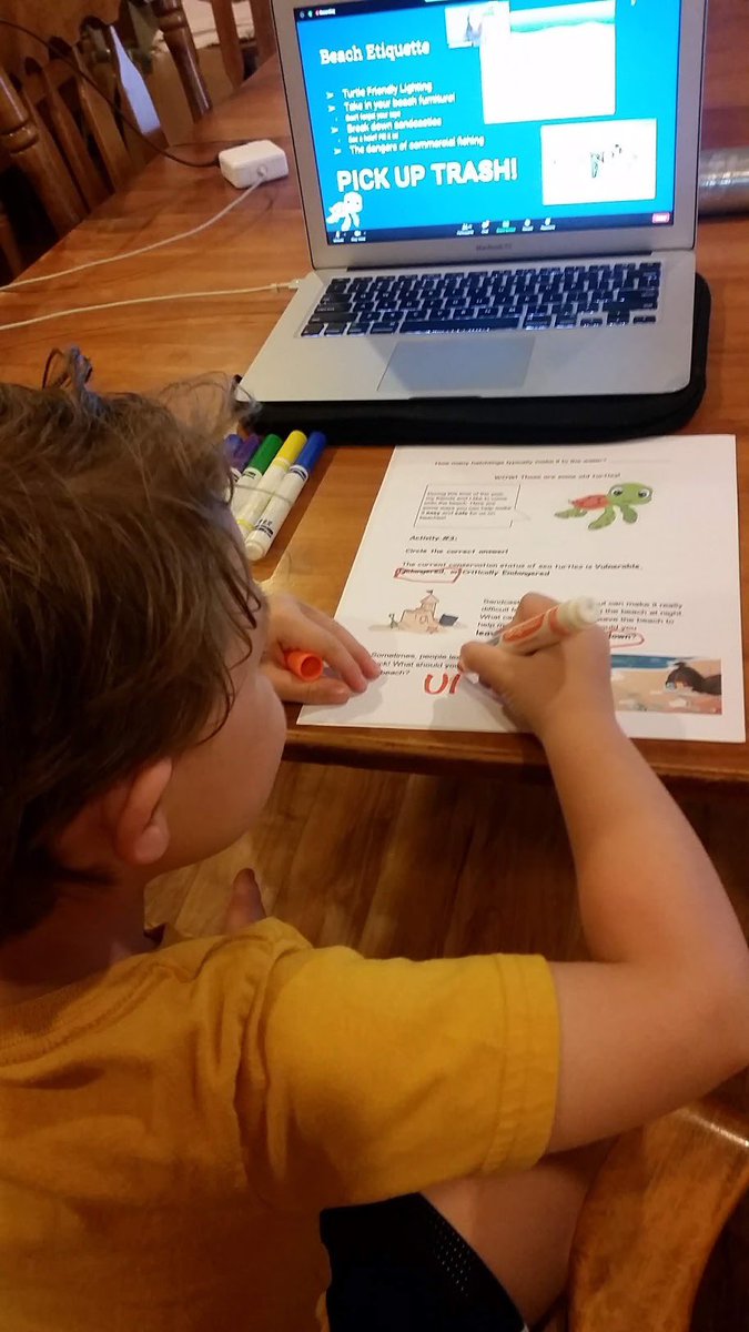 AnimalStudiesRC's tweet photo. Our first #WILDwebinar was a SUCCESS!! We had 25 participants! Here is one of our participants, Declan, filling out his sea turtle worksheet during our interactive webinar. We will be back same time next week talking about penguins. 🐧 Link in bio to sign up! https://t.co/zADcaheBLJ