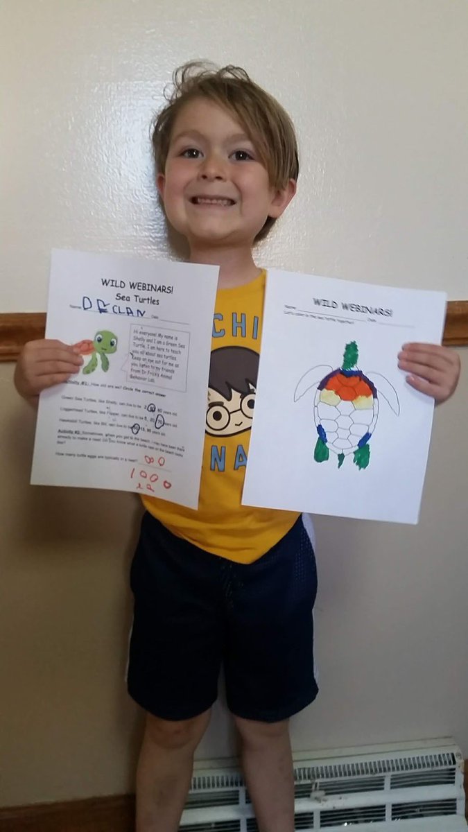 AnimalStudiesRC's tweet photo. Our first #WILDwebinar was a SUCCESS!! We had 25 participants! Here is one of our participants, Declan, filling out his sea turtle worksheet during our interactive webinar. We will be back same time next week talking about penguins. 🐧 Link in bio to sign up! https://t.co/zADcaheBLJ