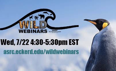 AnimalStudiesRC's tweet photo. Our first #WILDwebinar was a SUCCESS!! We had 25 participants! Here is one of our participants, Declan, filling out his sea turtle worksheet during our interactive webinar. We will be back same time next week talking about penguins. 🐧 Link in bio to sign up! https://t.co/zADcaheBLJ