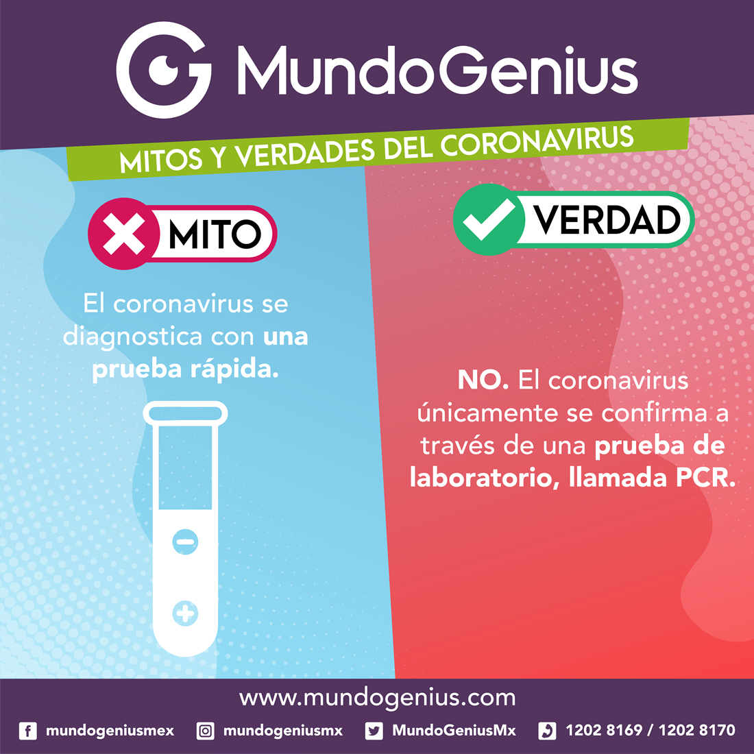 MundoGeniusMx's tweet photo. El #COVID19 afecta de distintas maneras en función de cada individuo. La mayoría de las personas que se contagian presentan síntomas de de intensidad leve o moderada, y se recuperan sin necesidad de hospitalización.

Si presentas síntomas graves, busca atención médica inmediata. https://t.co/vczw5SWCMn