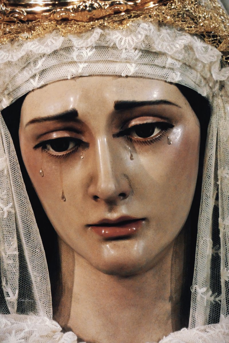 estebanjimeenez's tweet photo. Tras un mes y medio sin sacar la cámara hoy hemos vuelto 📷📷 @Hdad_del_Carmen https://t.co/f9bIw6h11c