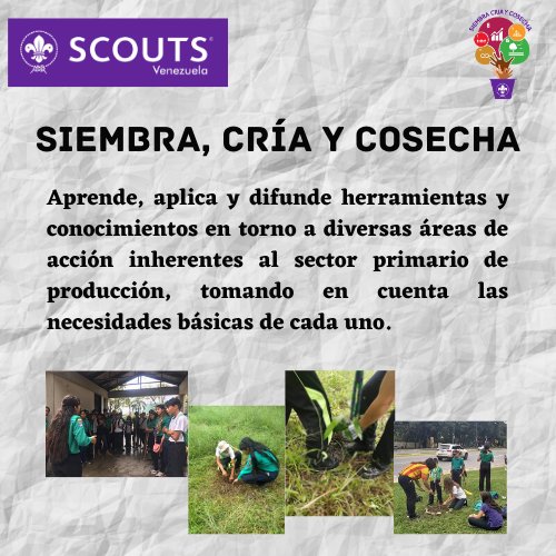 MOPVenezuela's tweet photo. ¿Estas preparado para conocer Siembra, Cría y Cosecha? 🌱🐔

Es importante conocer la relevancia del sector primario 🌽 Así como la preservación del ambiente🌳En muchas ocasiones podemos observar como la siembra se ha vuelto parte de nuestras vidas 🙌🏻 https://t.co/kE6TcgXKzg