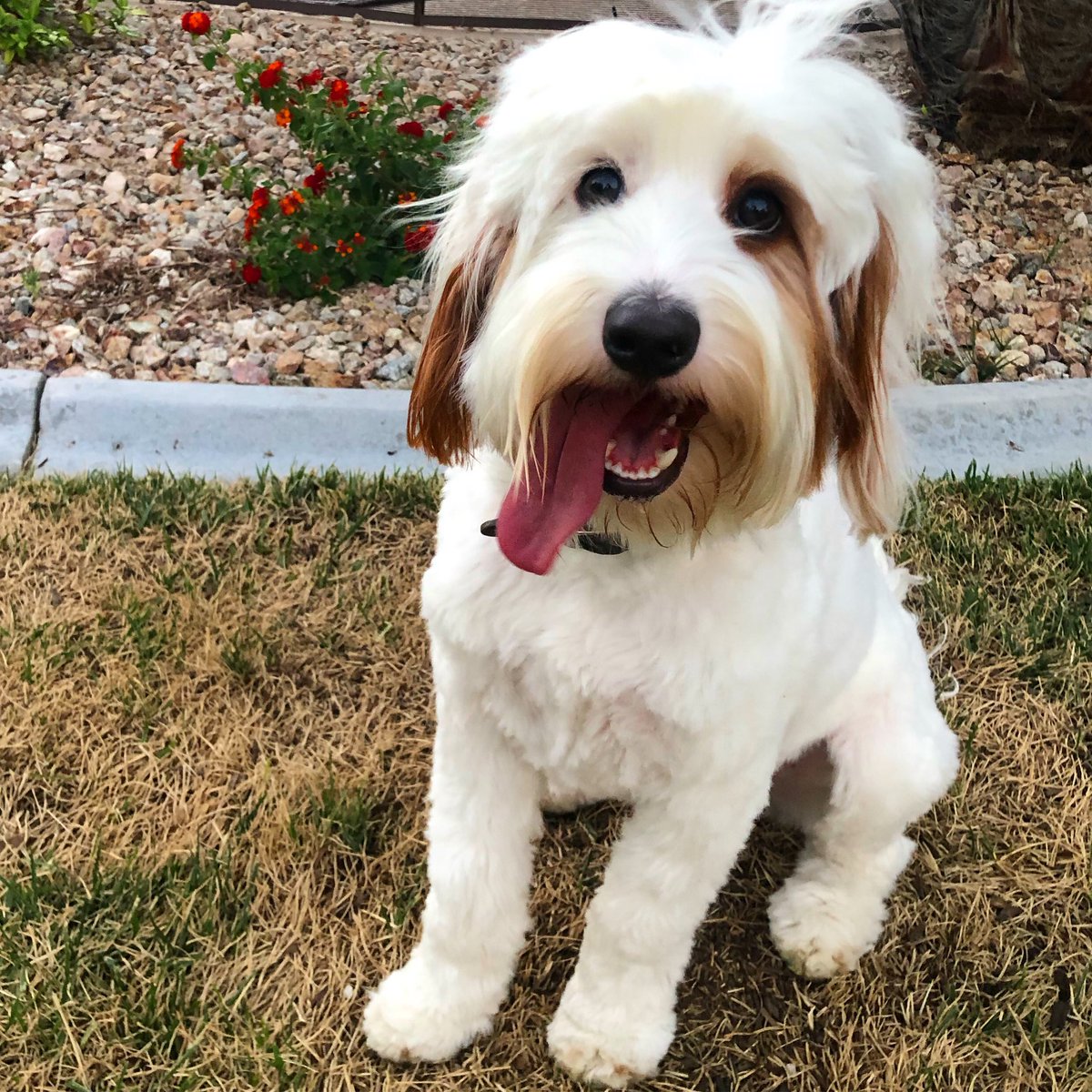 Woo! It’s hot! #sidetongue #tongueout #sunsouttonguesout