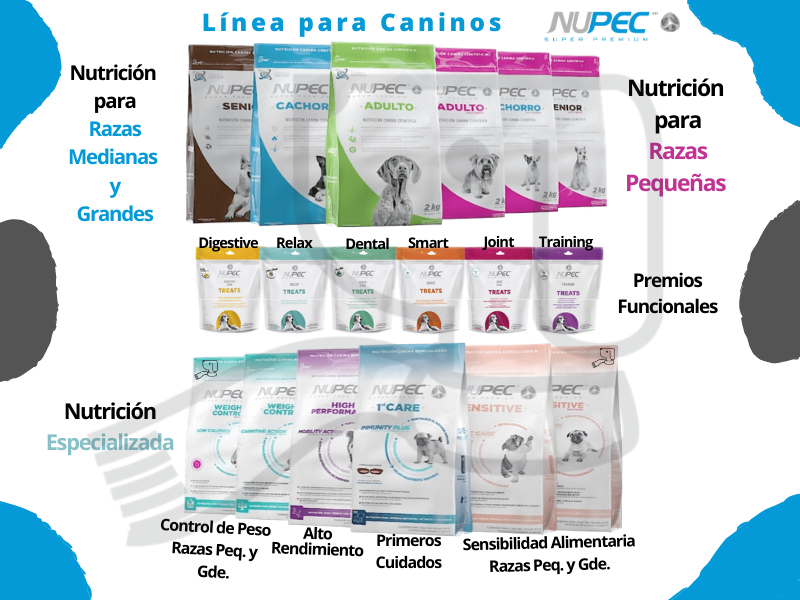 RoyalMascotte's tweet photo. Te presentamos la línea de alimento para 🐶 de Nupec®, no dudes en contactarnos, tenemos Entrega a Domicilio* 🏠🕙🚛 y distintas formas de pago.
#QuedateEnCasa  #RoyalMascotte #WellnessForThem 

*Puede aplicar condiciones de entrega y/o disponibilidad  en algunos casos. https://t.co/UMiKI4pmSc