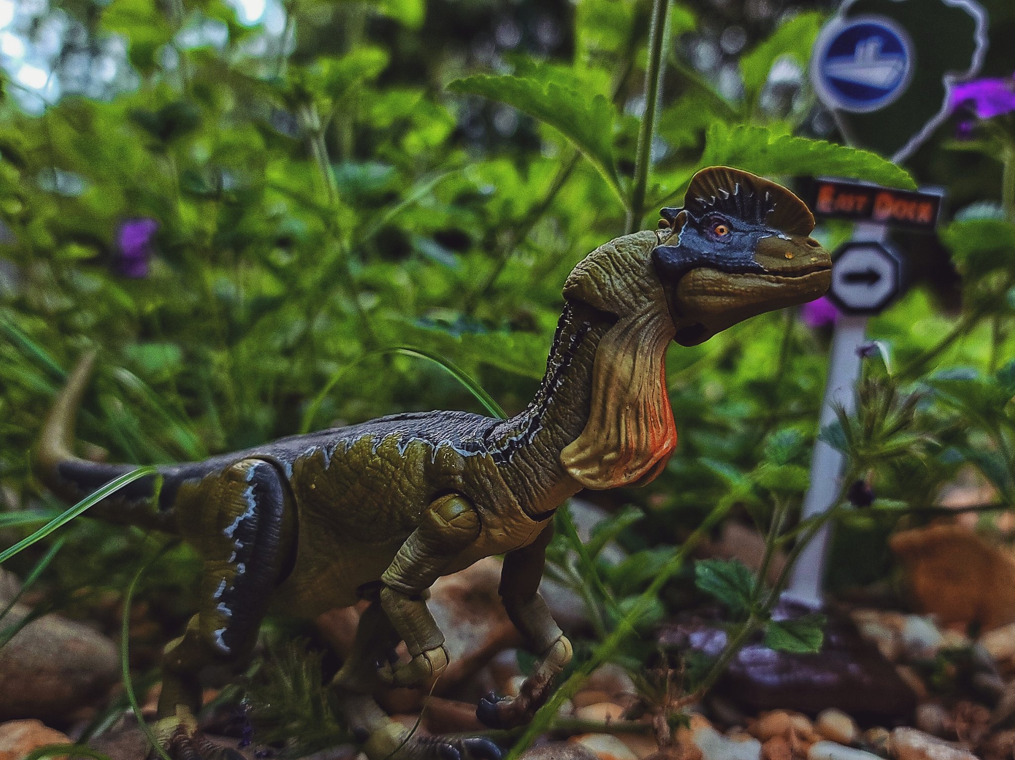 Amber collection. Jurassic World Amber collection Дилофозавр. Jurassic World Mattel Dilophosaurus. Маттел мир Юрского периода. Amber coleccion. Amber collection Jurassic World Играландия.