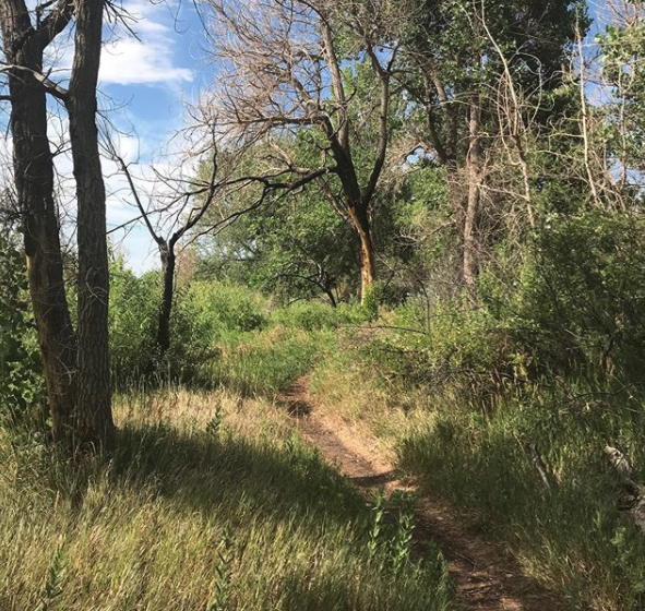 rich_runs's tweet photo. 7 miles this morning bookended around a GRI marketing class. Busy is good. #busyisgood #dowhatyoulove #trailrunning #run #gri #trailrunner #zoomclass https://t.co/XEtOuFLlkm