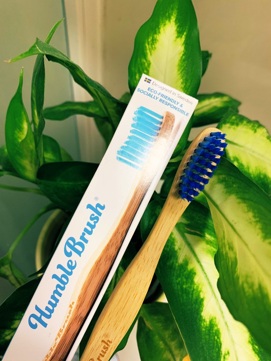 The best brush..make your change in the world 🌺🥰 #humblebrush #bambootoothbrush #bamboo #zerowaste #vegan #thehumble