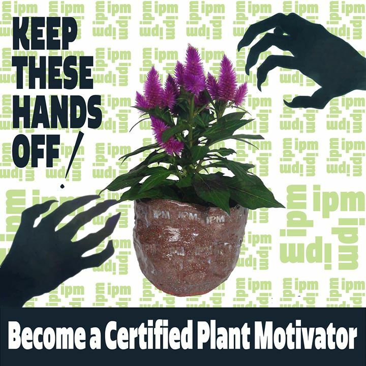 PlantMotivation's tweet photo. Have you every wondered how you impact plants? Join a course to learn now! Offering trainings over zoom now, dm to secure your spot in the next session. 
.
.
.
.
.
#bloom #flower  #pollen #finger #intimate #touch #empathy #IPM #join #training #zoom #onli… https://t.co/1NQuhrI0fo https://t.co/QXGJvZzpJU