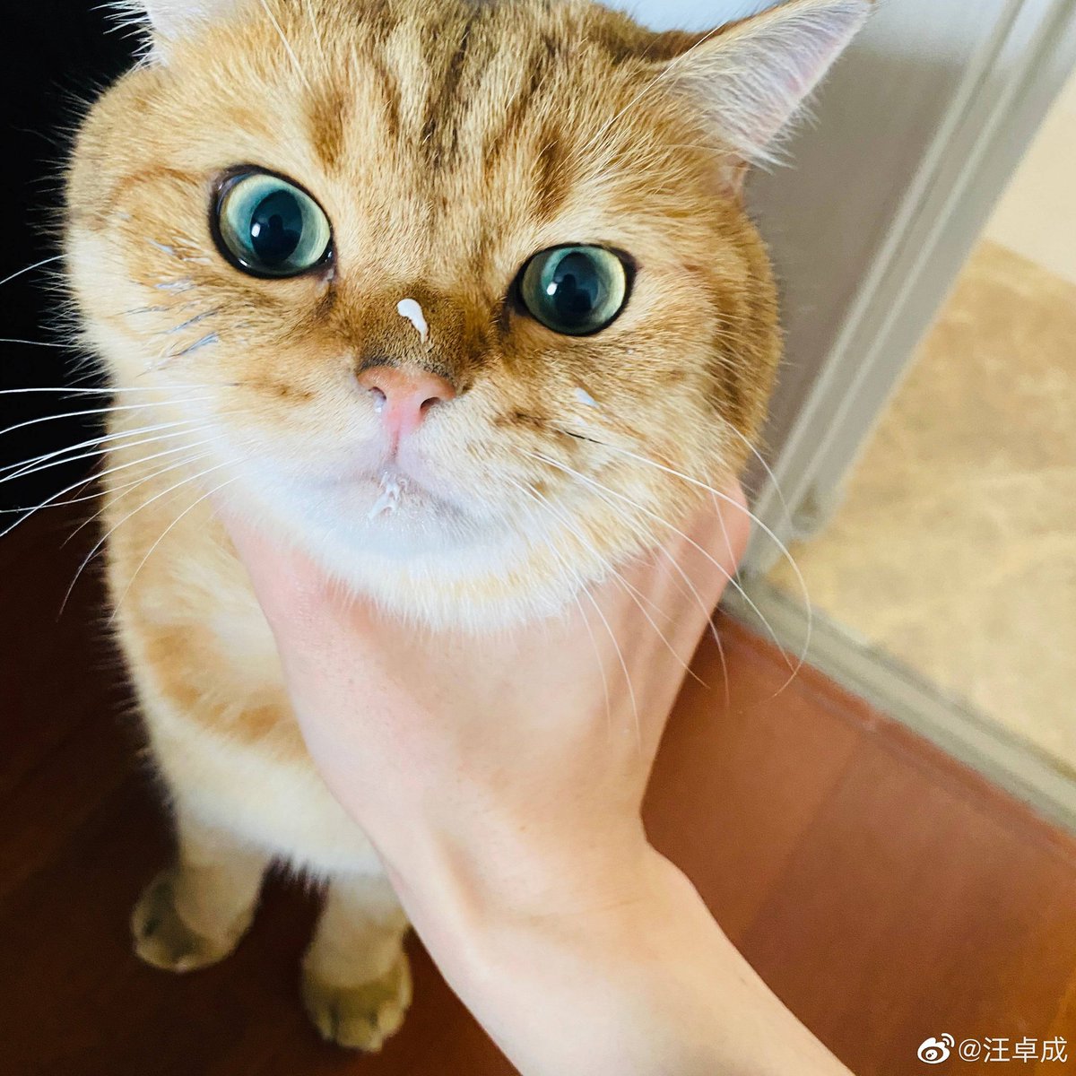 daily danta (@daily_danta) on Twitter photo 