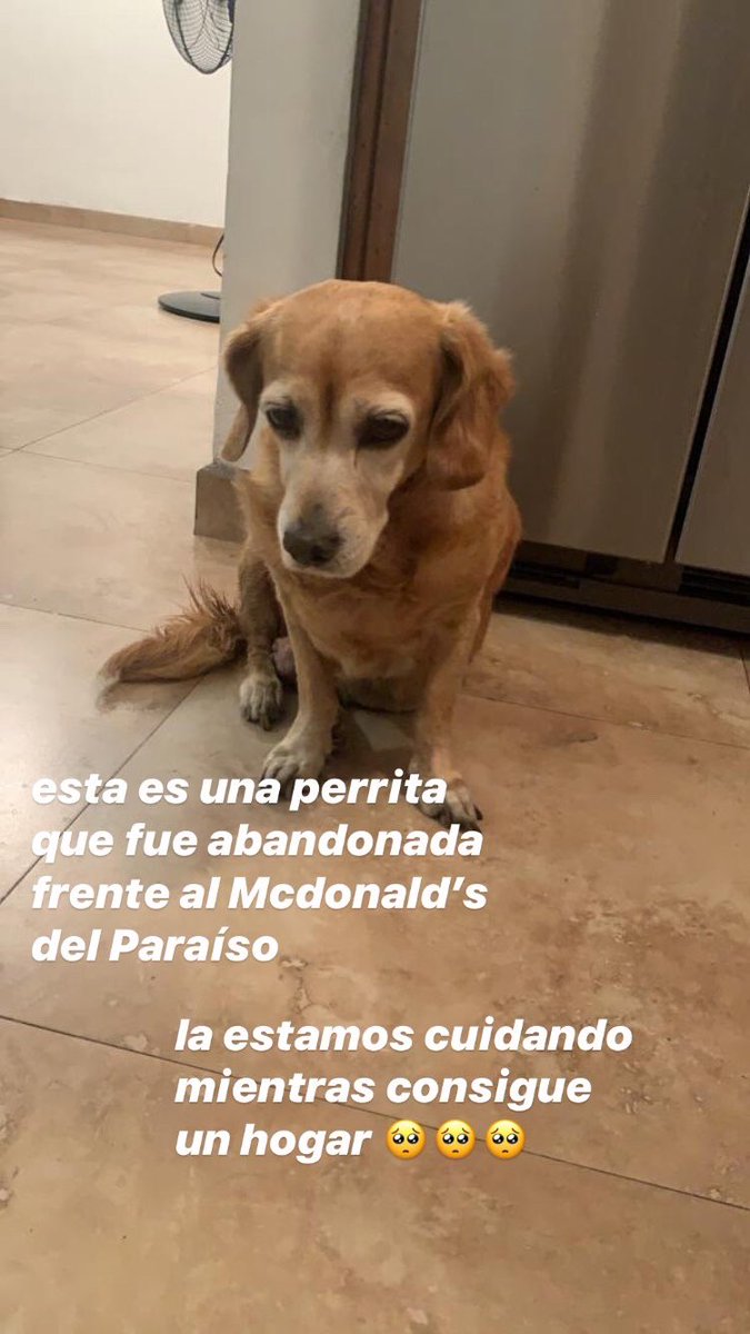 isacolmenaress's tweet photo. por favor ayuden a esta chiquita, se los agradecería🙏🏼 https://t.co/0zCLiMchkQ