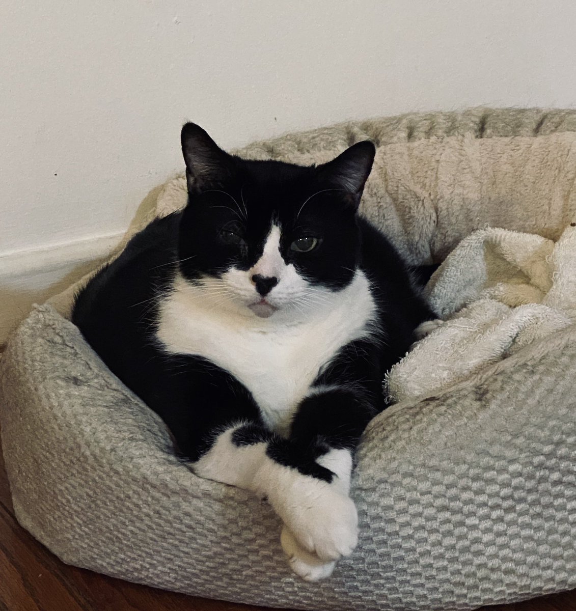 plouffykitty tweet picture