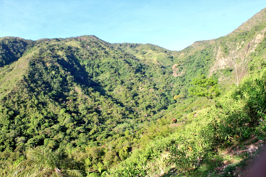 elatanquero's tweet image. Ayúdanos a proteger nuestra tierra sagrada la Sierra Nevada de Santa Marta. 
#1500Latidos 
#SalvemoselCorazondelMundo
