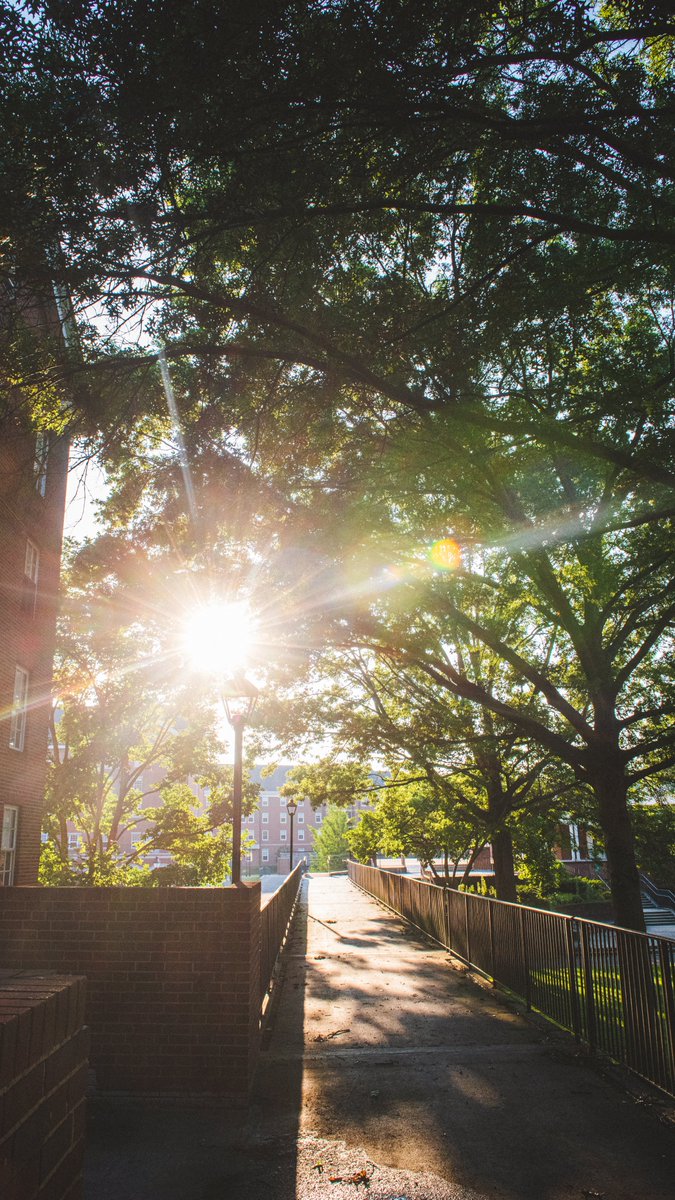 Ohio University tweet media