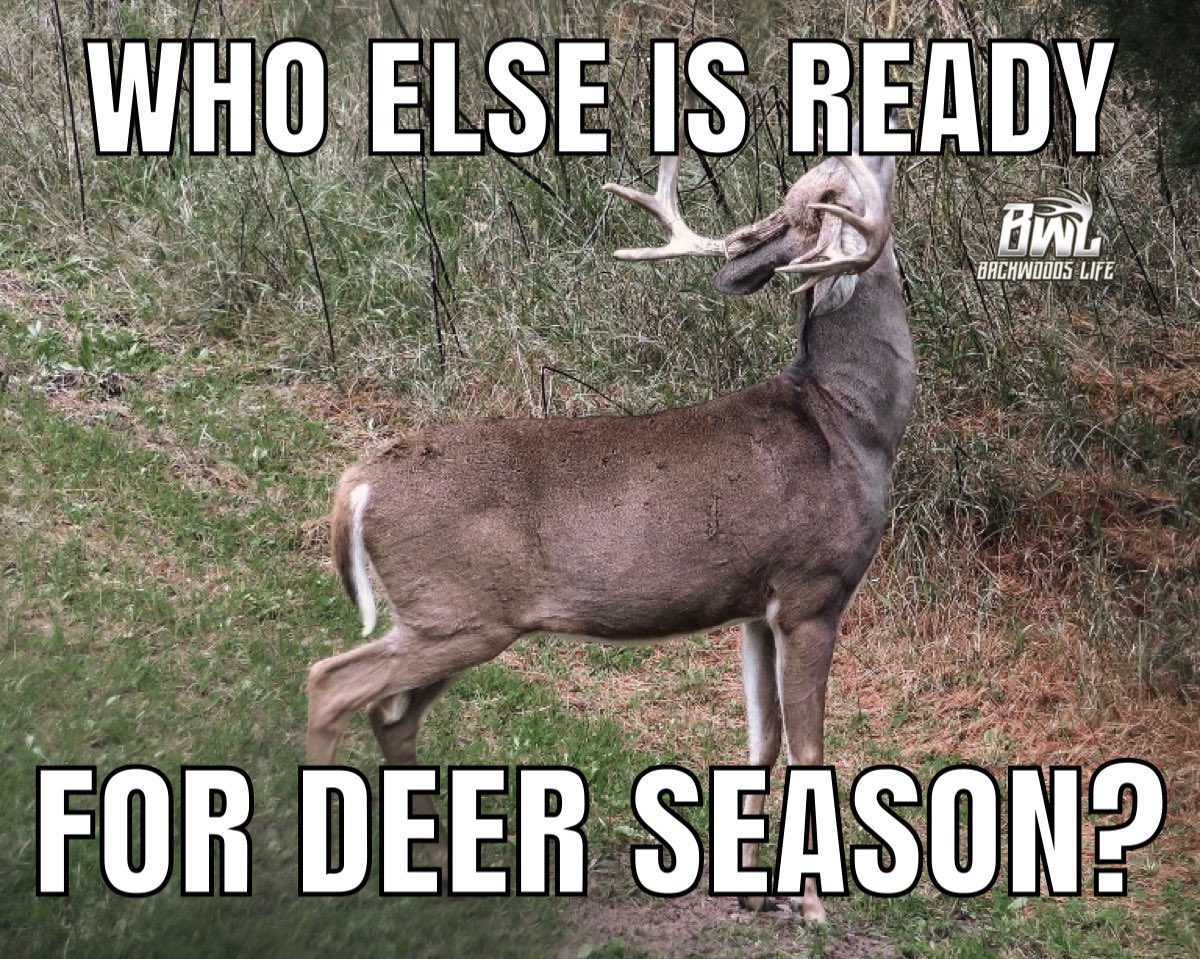 BackwoodsLife's tweet photo. Yes!!! https://t.co/X8XkirdueX