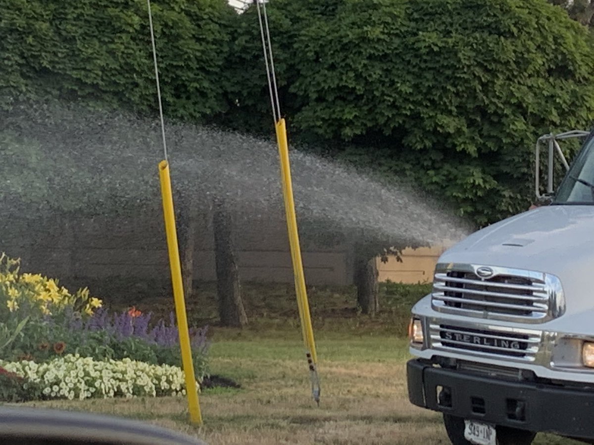 Babyblue1973's tweet photo. @regionofpeel But let’s water city corner flowers @patrickbrownont double standards? https://t.co/Re4qjnOLRA
