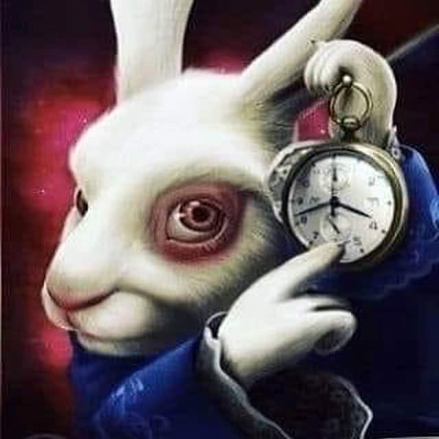 Hanon89121513's tweet photo. #Qanon #GodWins #Blackout #Freedom #Truth #ObamaGate #PedoGate #PizzaGate #RussiaGate #WayfairGate #HRCEmails #Qarmy #DigitalSoldiers #Faithful #WWG1WGA #WWG1WGAWW #DarkToLight #TransitionToGreatness #GoodVsEvil #DeepStateTakeDown #FalloftheCabal #GODWINS https://t.co/v0ZqFNizwg