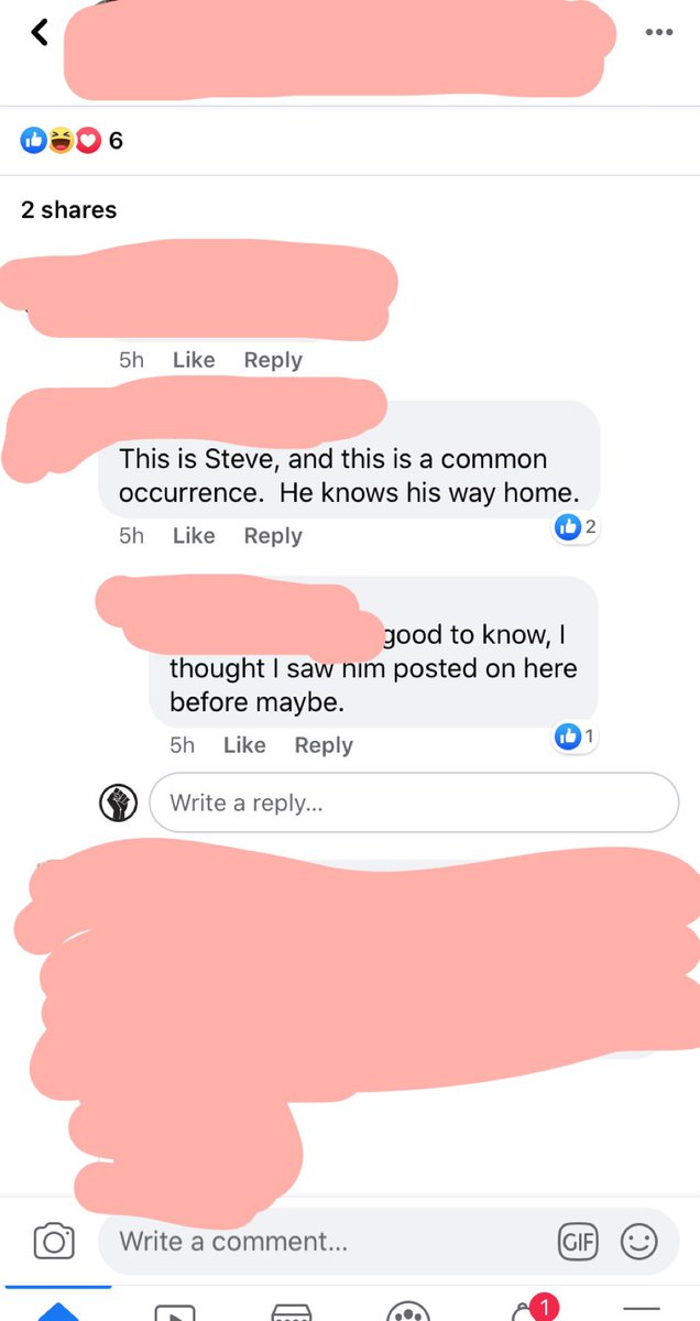 The Rivers chat room on Facebook today 💀🤣