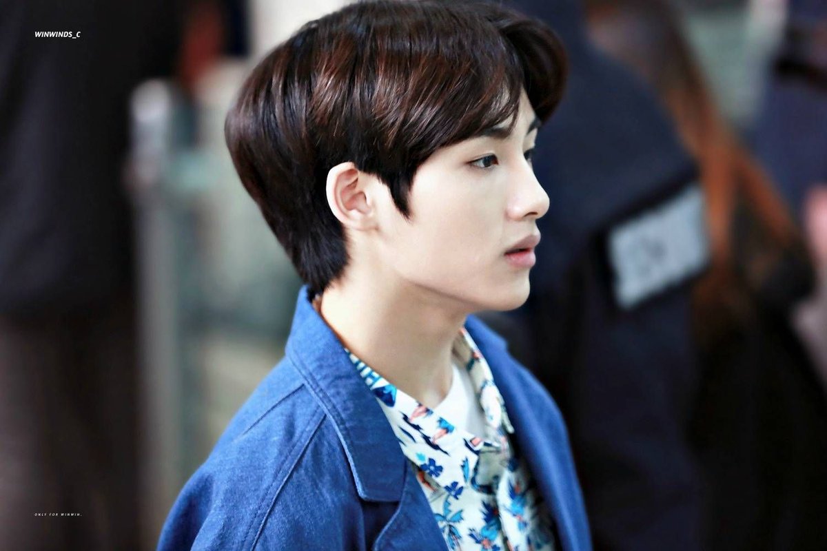 Hourly Winwin☁️ tweet media