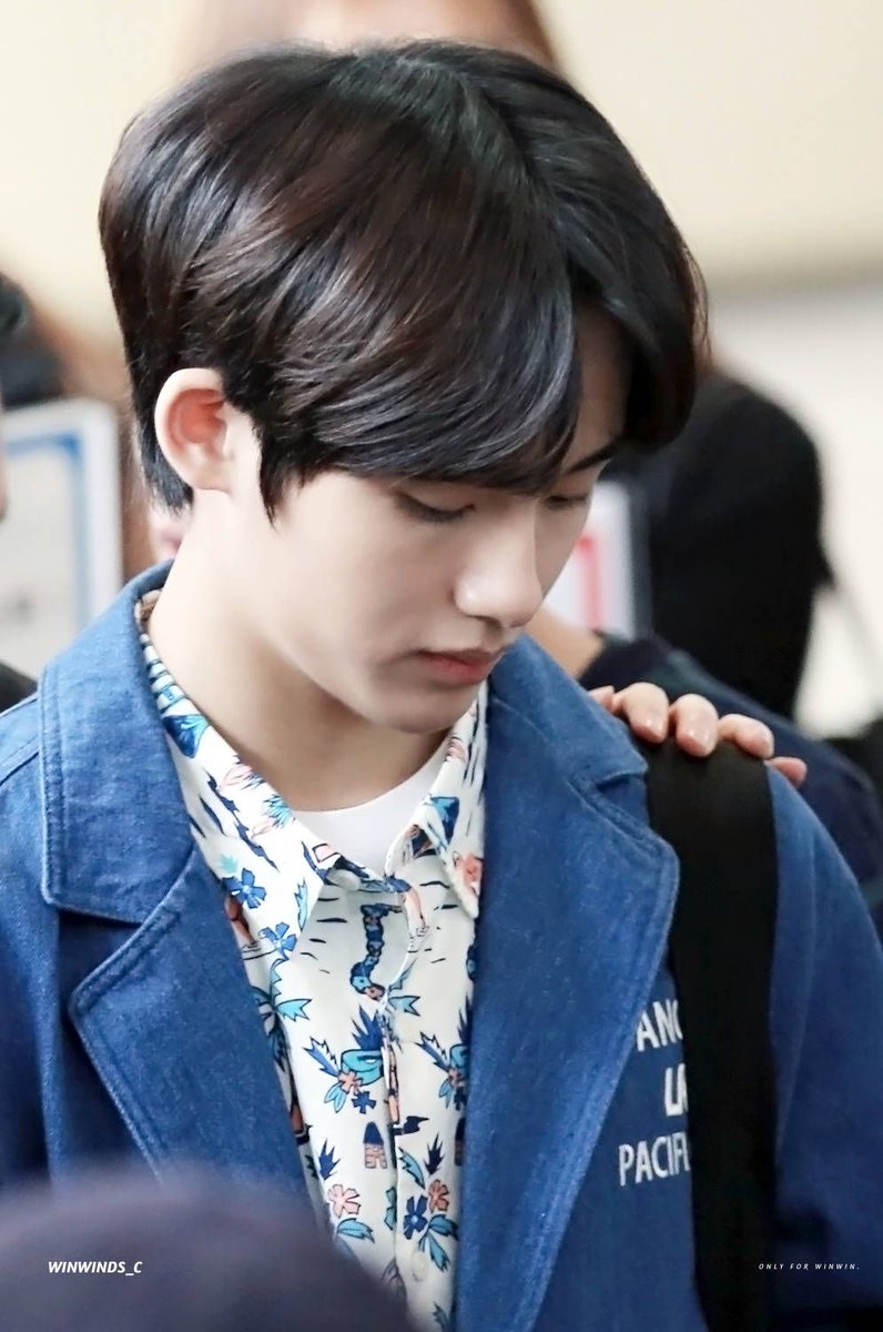 Hourly Winwin☁️ tweet media