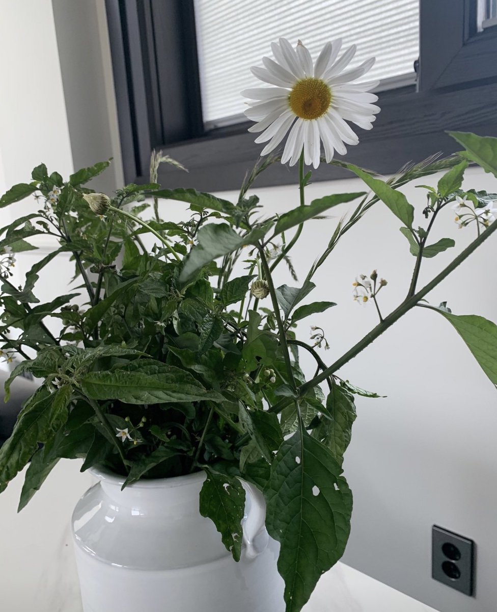 사람들은 가끔 몸은 여기 있는데 
마음은 여기 없는 표정을 짓곤 해.
그럴때 곁에있는 사람이 할 일은 조용히 
손을 잡아주는 것 뿐이야.
그게 모든 것이지. 

[아무튼,스웨터]