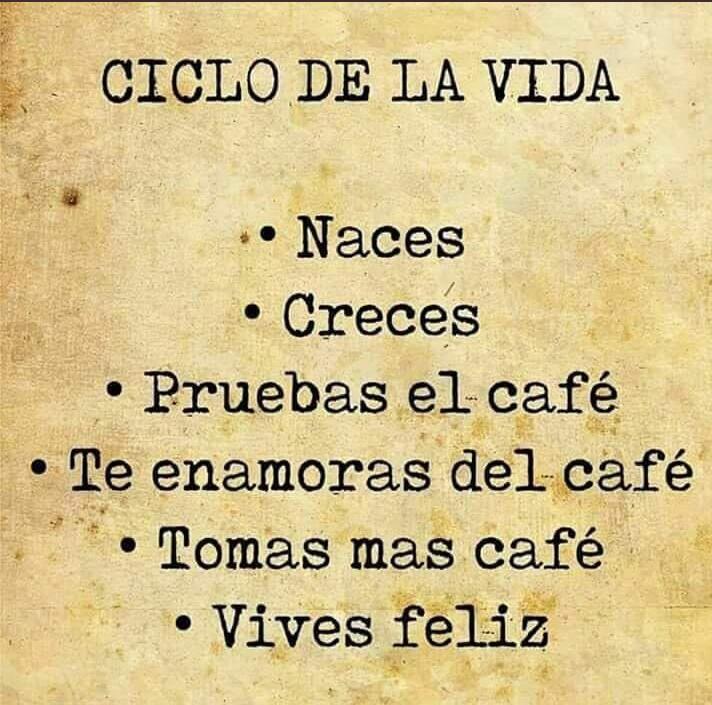 __Yesika__'s tweet image. #EstoyEnamoradaDeMiCafé ☕🦉
El sentir està necesidad tan deliciosa 3 veces al día es muy gratificante ❤️☕🙏😀☕🦉
Quién quiere ???
#HoradeCafé 
@abuelorap