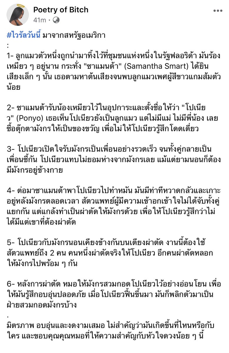 PohAndherspace's tweet photo. เมดมายเดย์มากกกกก เจ้าโปเนียวว 🐱 https://t.co/jd5m4ibumV