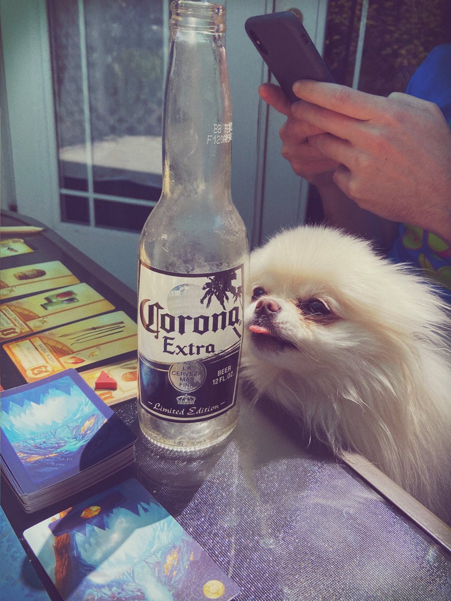 CherryFluffbutt's tweet photo. DID SOMEONE SAY #CORONA? #bleep https://t.co/S2khtFEsM5