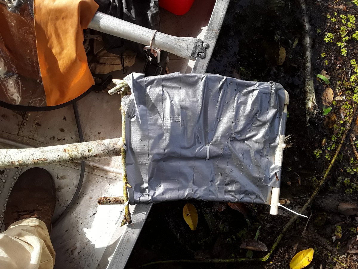 donaldmcknight2's tweet photo. #FieldWork requires resourcefulness and a lot of #DuctTape. Fortunately, the @Belize_Turtle crew has plenty of both. We forgot our oars, but remembered the duct tape, so a solution quickly presented itself. #MacGyver https://t.co/CYJKdwqzRc