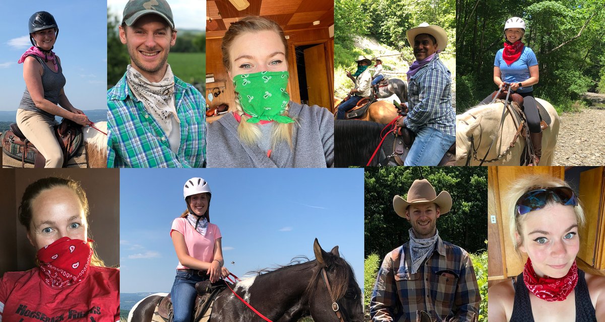 Painted Bar Stables tweet media