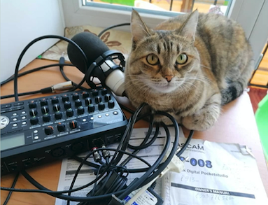 TASCAMpro's tweet photo. Meow Mix - DP-008 Portastudio is loved by cats.
#TASCAM #tascam_usa #Portastudio #DP008EX #8track #digitalportastudio #digitalrecorder #homerecording #homestudio #animalsdoingstuff #animalsdoingthings #animalsdoingcutethings #catsofinstagram #kitchenstudio https://t.co/fbAZWaYQ5j