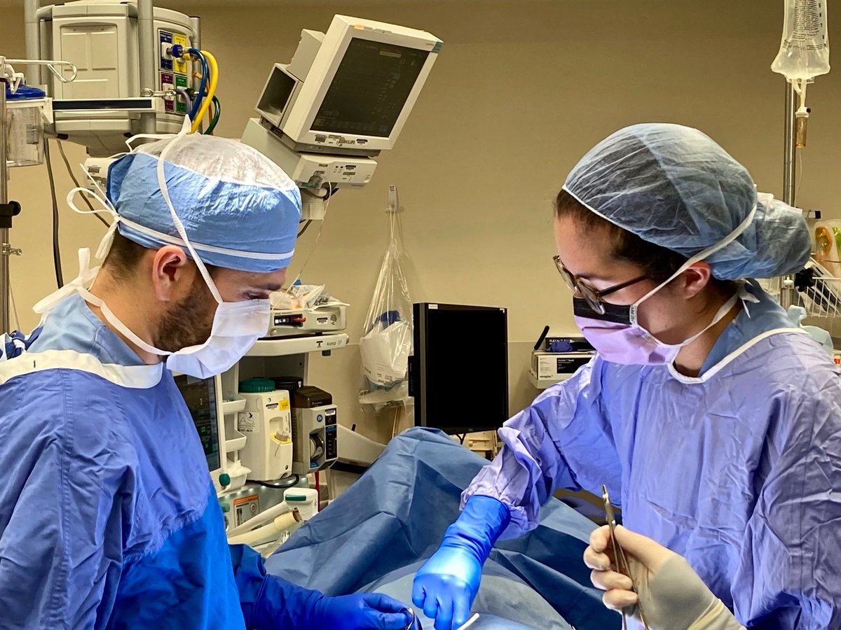 IUuro's tweet photo. Dr. Joshua Roth and Dr. Lauren Abrams (PGY4) performing gender affirming feminizing surgery today, with DaVinci peritoneal vaginoplasty by our chairman Dr. Michael Koch.

https://t.co/hkCtDfbuKA

#urology #urologist #residency #medicine #iu #genderaffirmation #transhealth #lgbtq https://t.co/JmiouS3Y32