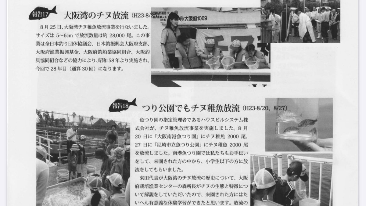 大阪湾チヌ放流事業 大阪湾チヌ放流事業