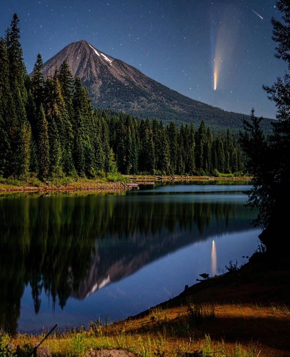 Photo 1: weownthemoment | ig (Oregon). Photo 2: petertellone | ig (Anza-Borrego Desert State Park). Photo 3: passioneastronomia | ig (Czech Republic). Photo 4: kristarphoto | ig (Oregon). #NeowiseComet