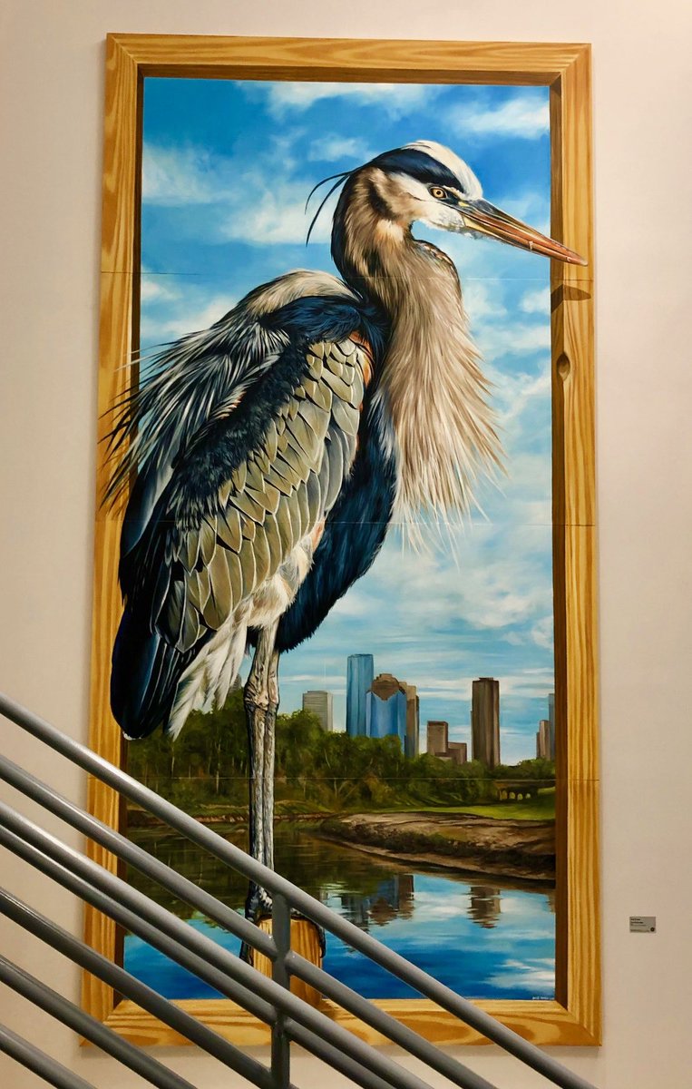 iah's tweet photo. Cool!
”The Great Blue” by @anatronen is on the #HoustonMuralMap you can find it inside Terminal C 😀 #HoustonAirportsArt https://t.co/U00P5AOsEP