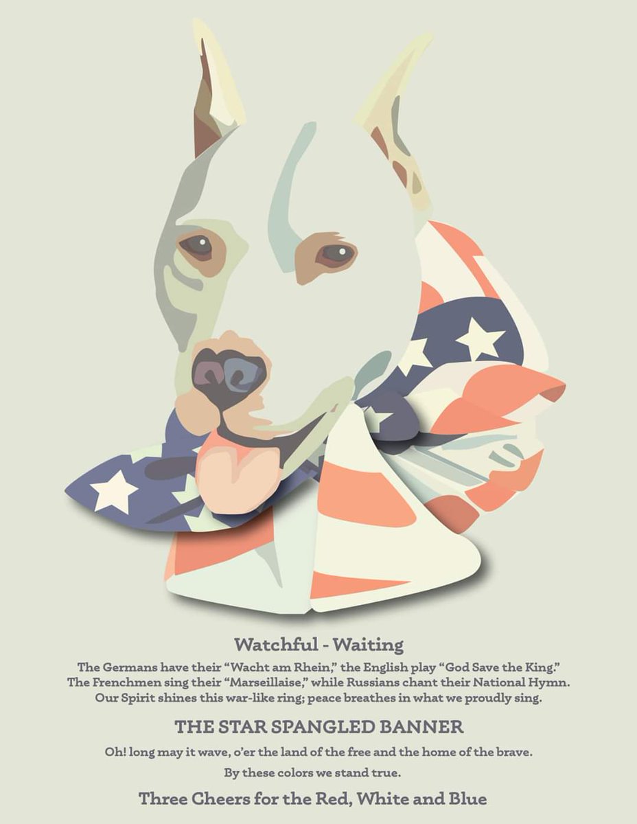 DebraDdesigns's tweet photo. The following is a WWI patriotic poster featuring a Bull Terrier or an early American Staffordshire Terrier. 
Recreated using Adobe Illustrator
By Debra Draper

#WWI #illustration #art #dog #usa #pitbulldog #bullterrier #StarSpangledBanner #graphicdesign #americanstaffordshire https://t.co/hKpkaqtfIv